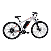 PVY M29 Commuter Electric Bike
